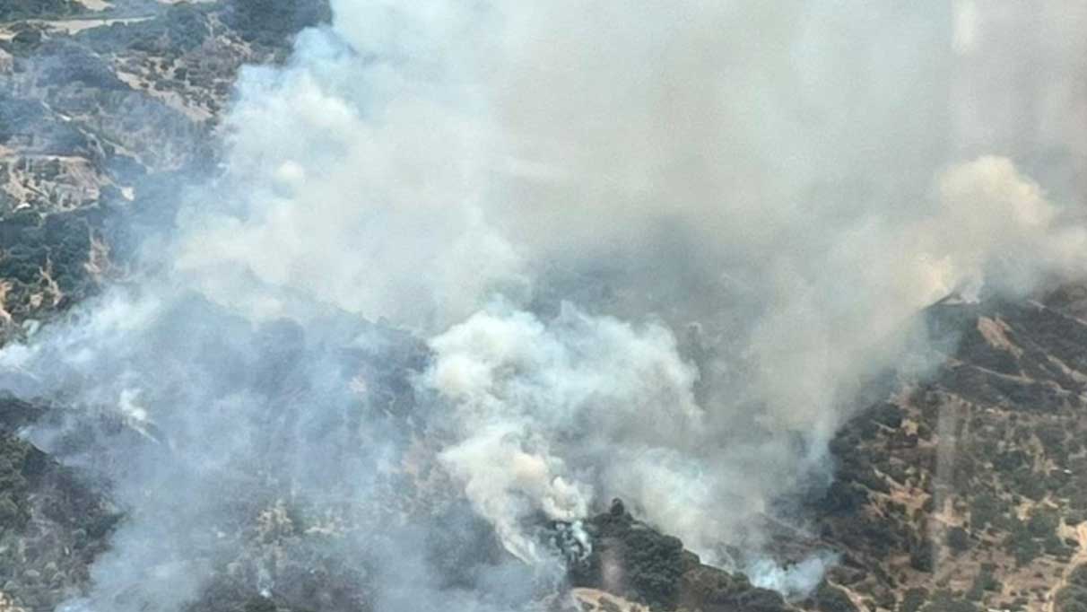 Turgutlu’da orman yangınına müdahale sürüyor